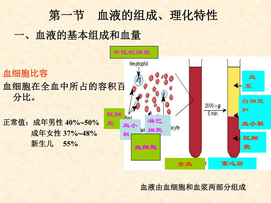 第5章血液的组成与功能.ppt_第3页