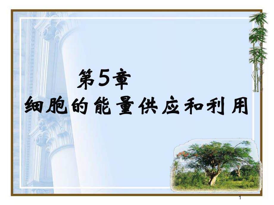 第5章细胞的能量供应和利用名师编辑PPT课件.ppt_第1页