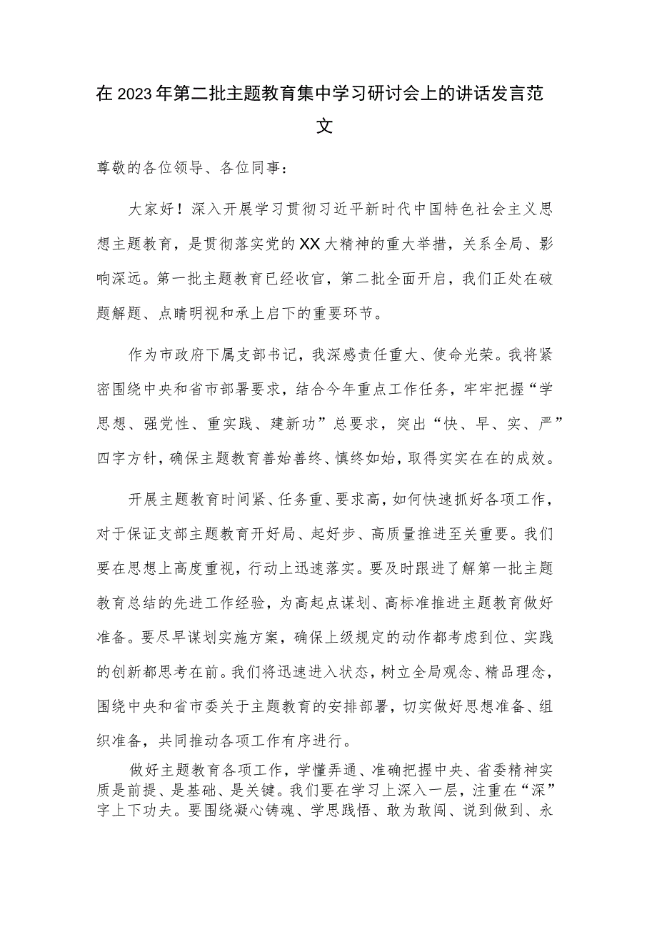 在2023年第二批主题教育集中学习研讨会上的讲话发言范文.docx_第1页