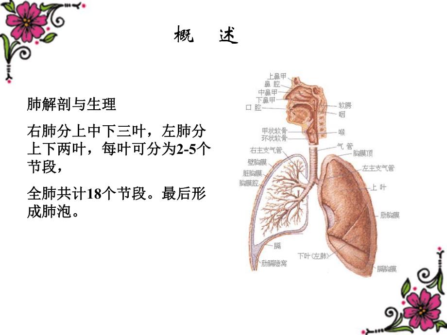 第7章肺显像.ppt_第2页