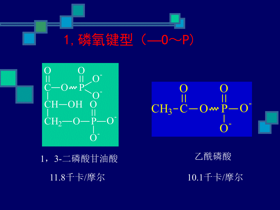 第89章代谢总论1.ppt_第3页