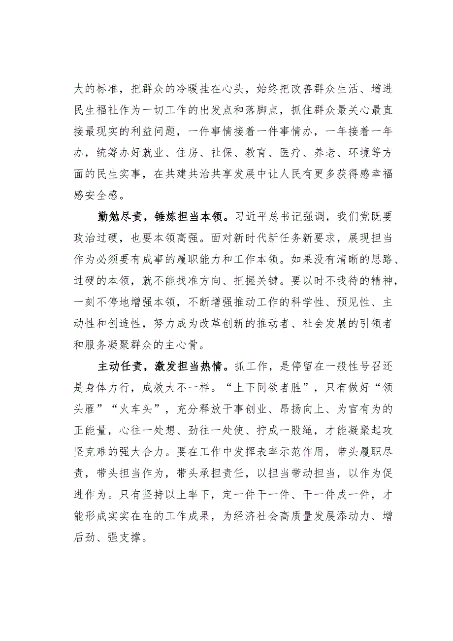 主题教育心得体会：以担当诠释忠诚以实干践行使命.docx_第2页