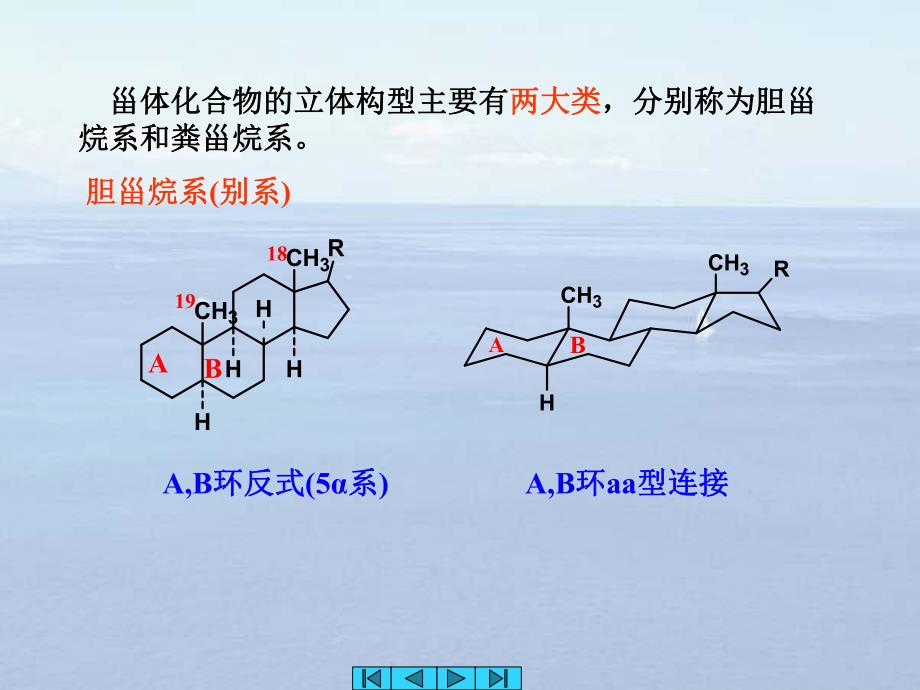 第7章甾体类化合物含甾体皂苷和强心苷.ppt_第3页