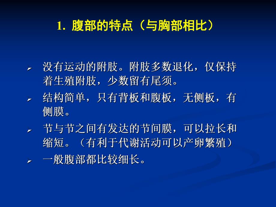 第8章昆虫的腹部名师编辑PPT课件.ppt_第3页