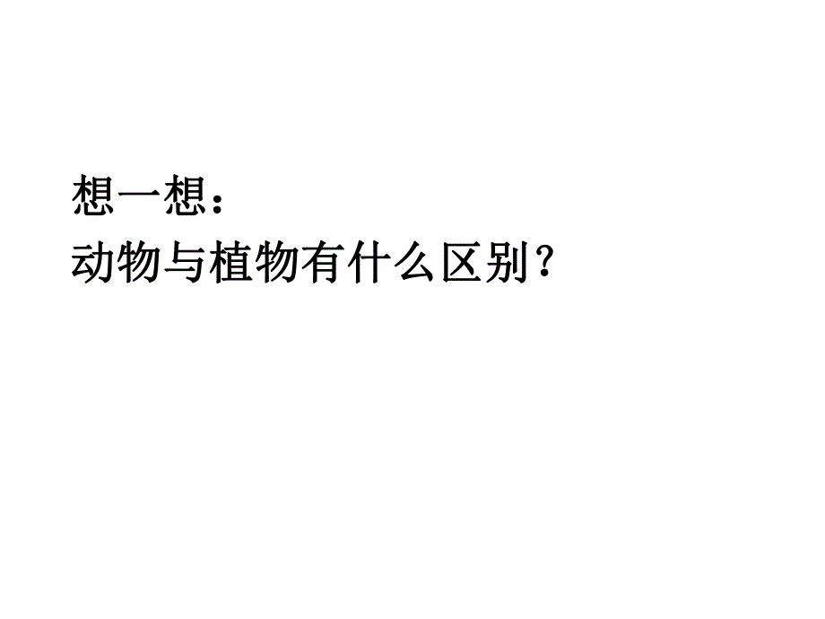 第一章第一节腔肠动物和扁形动物.ppt_第2页