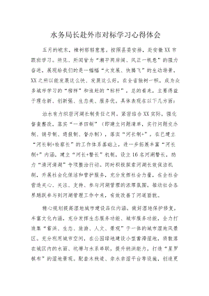 水务局长赴外市对标学习心得体会.docx