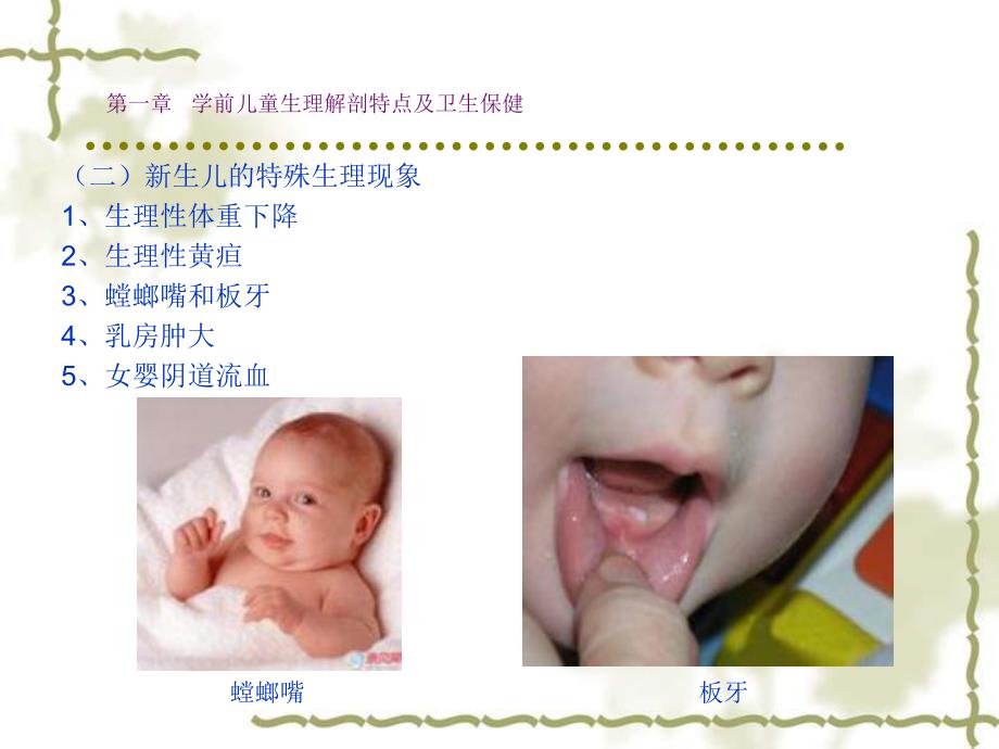 第一章学前儿童生理解剖特点及卫生保健名师编辑PPT课件.ppt_第3页