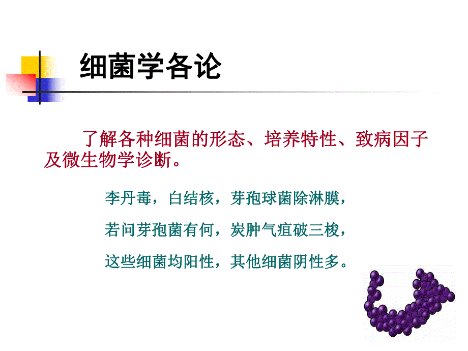 第8章革兰氏阳性球菌.ppt_第1页