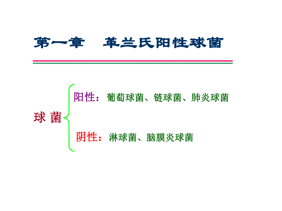 第8章革兰氏阳性球菌.ppt_第2页