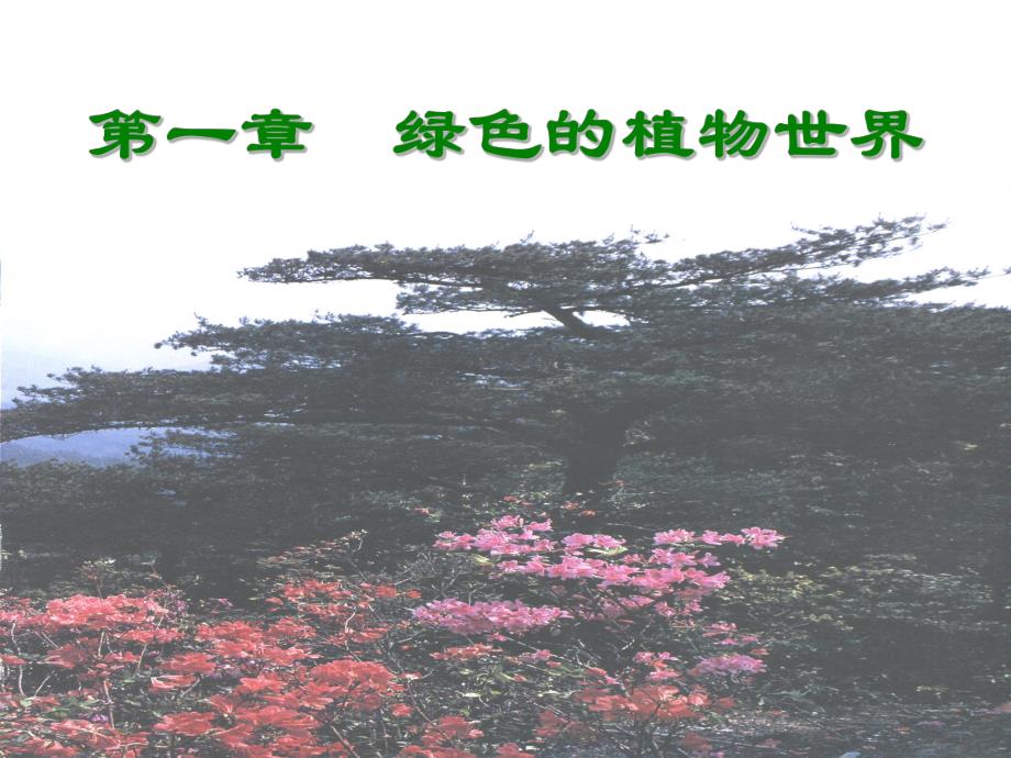 第一章绿色的植物世界课件.ppt_第2页