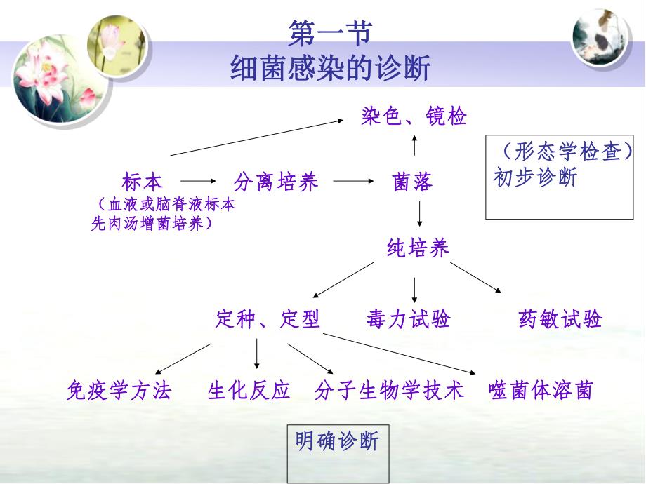 第8章细菌感染的检查方法与防治原则名师编辑PPT课件.ppt_第3页