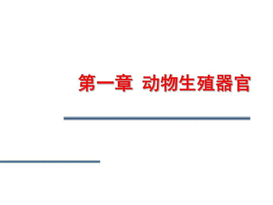 第一章动物生殖器官名师编辑PPT课件.ppt_第1页