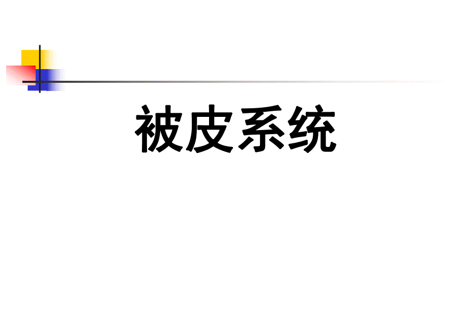 第9章皮肤.ppt_第1页