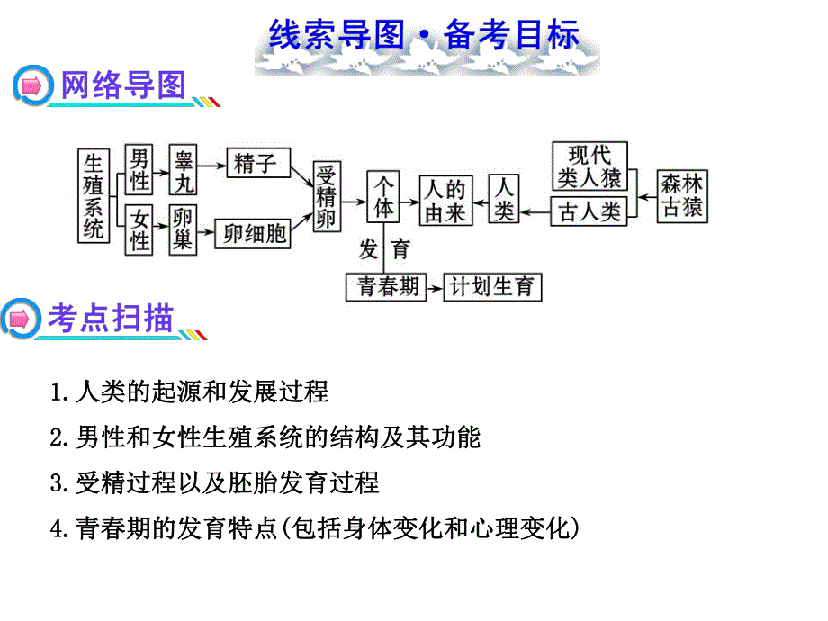 第一章人的由来复习.ppt_第2页