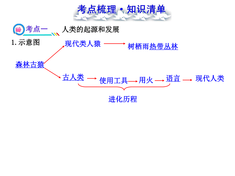 第一章人的由来复习.ppt_第3页