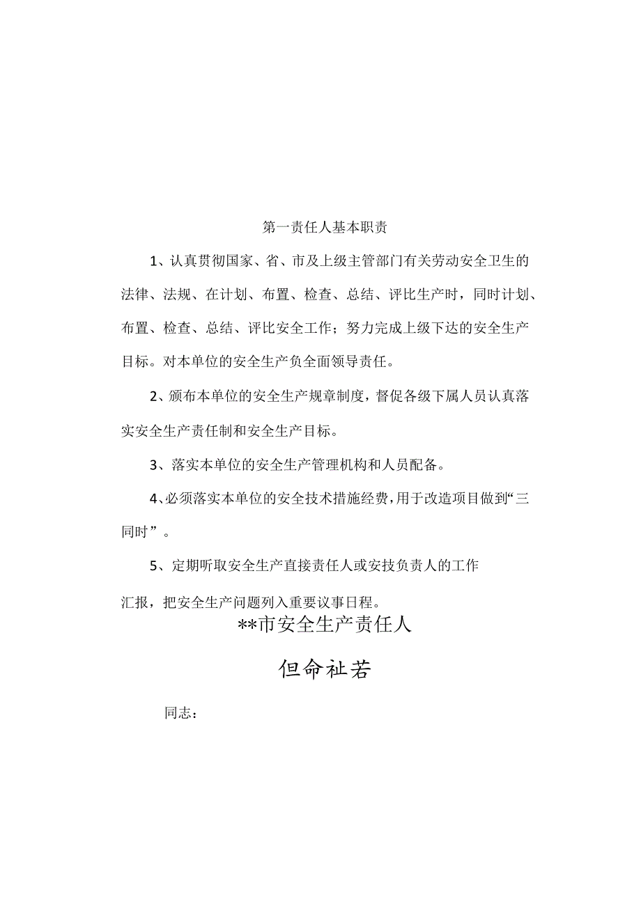 安全责任人任命书.docx_第1页