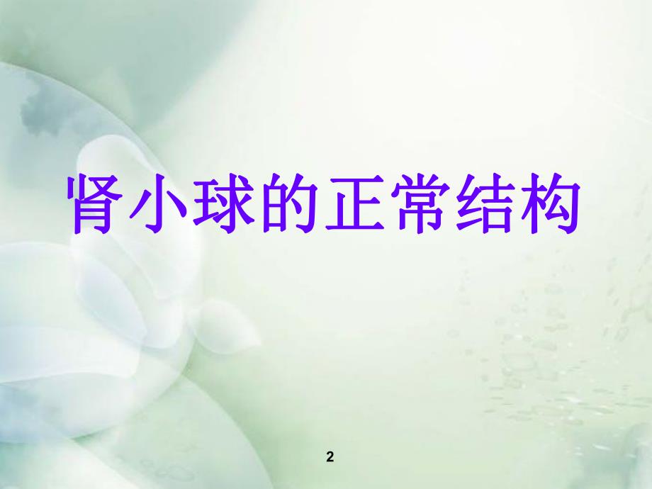 急性肾小球肾炎.ppt_第2页