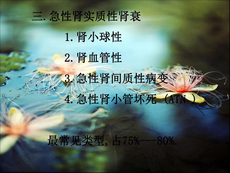 急性肾衰竭.ppt_第3页