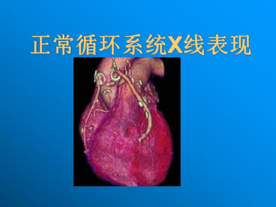 心脏循环系统.ppt_第1页