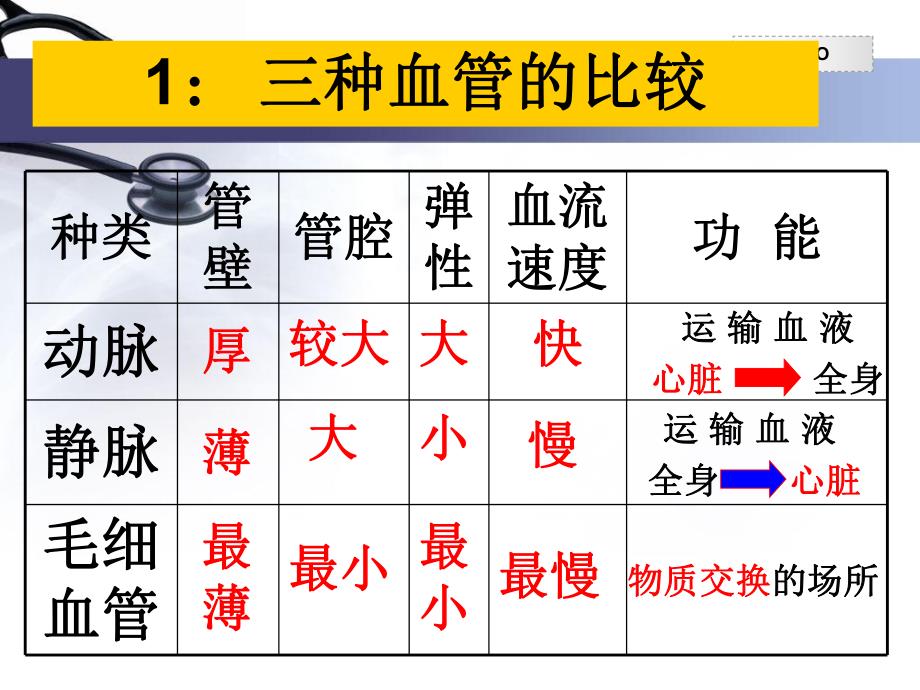 心脏结构和功能.ppt_第2页