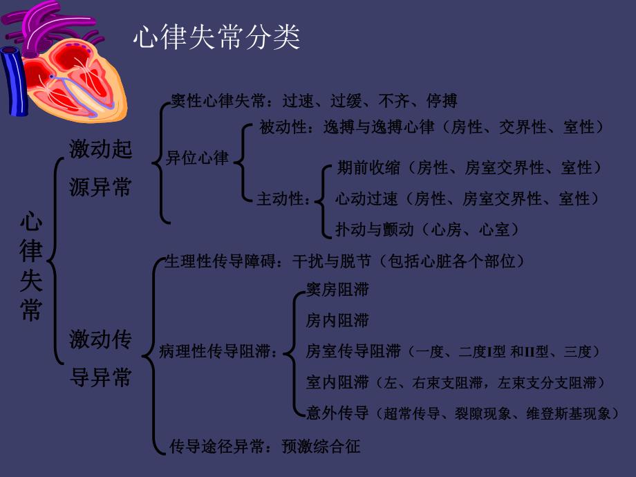 抗心律失常药物的合理使用.ppt_第3页