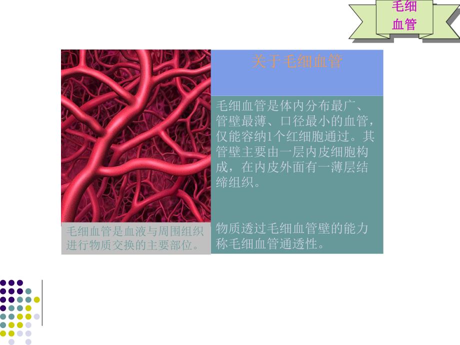 毛细血管渗漏综合征幻灯片.ppt_第2页