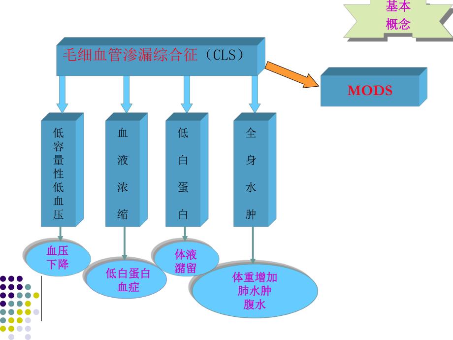 毛细血管渗漏综合征幻灯片.ppt_第3页