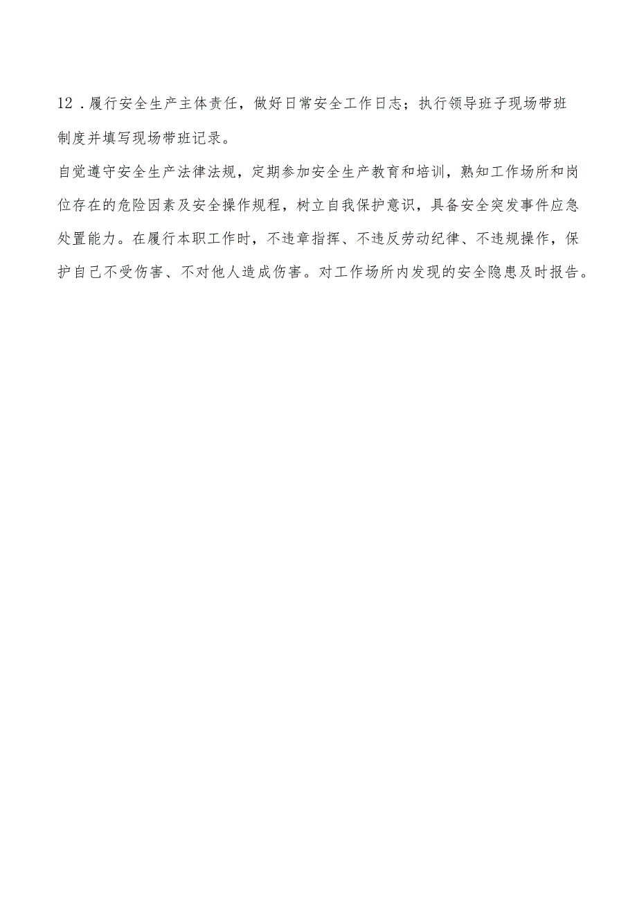 副总工安全生产责任清单.docx_第2页