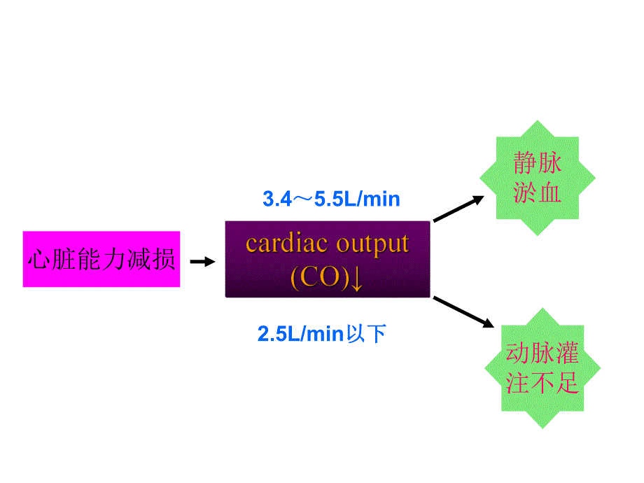 治疗充血性心力衰竭.ppt_第3页