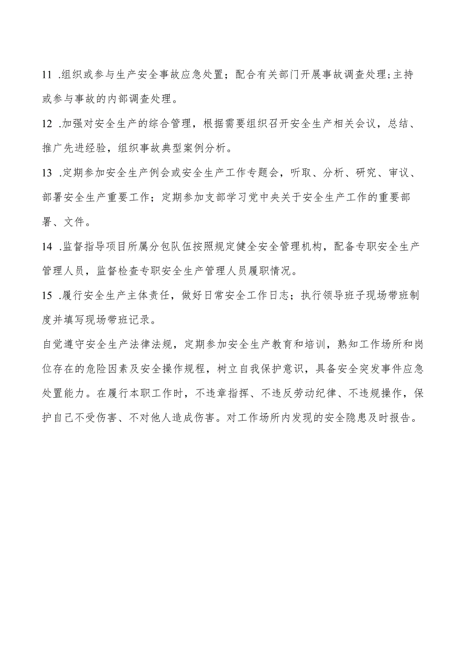 安全总监安全生产责任清单.docx_第2页