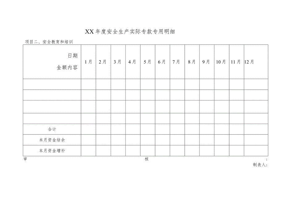 年度安全生产实际专款专用明细.docx_第2页