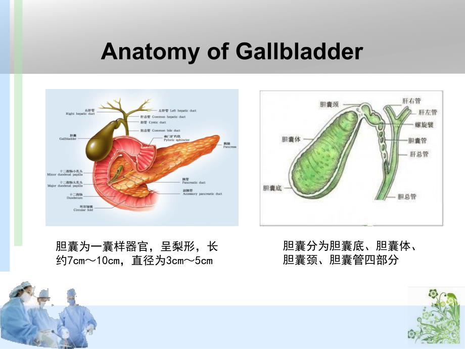 急性胆囊炎 讲课比赛.ppt_第2页