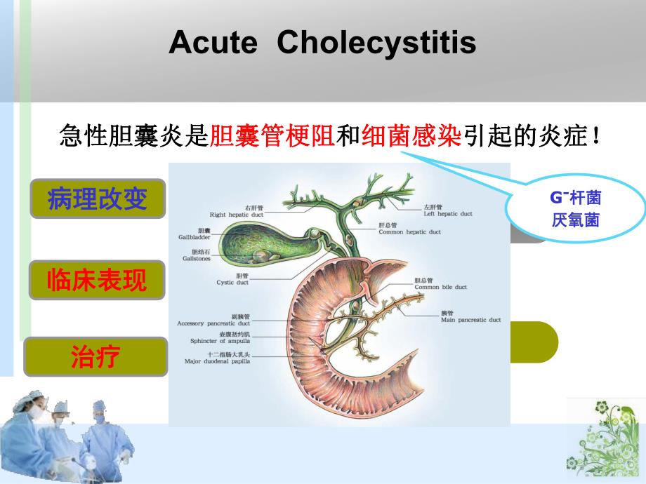 急性胆囊炎 讲课比赛.ppt_第3页