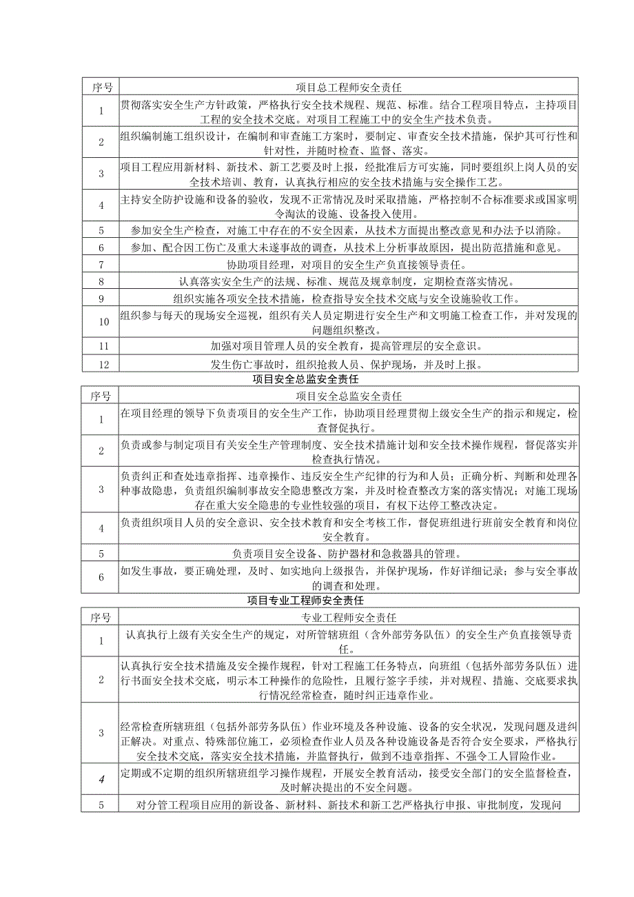 安全管理计划.docx_第2页