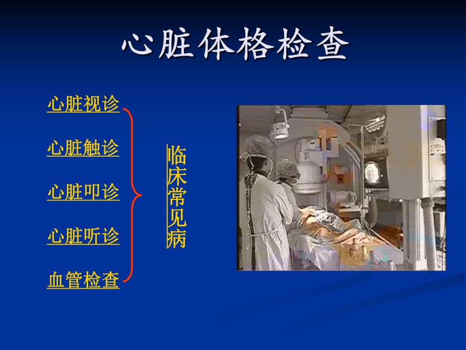 心脏及心血管体格检查PPT模板.ppt_第1页