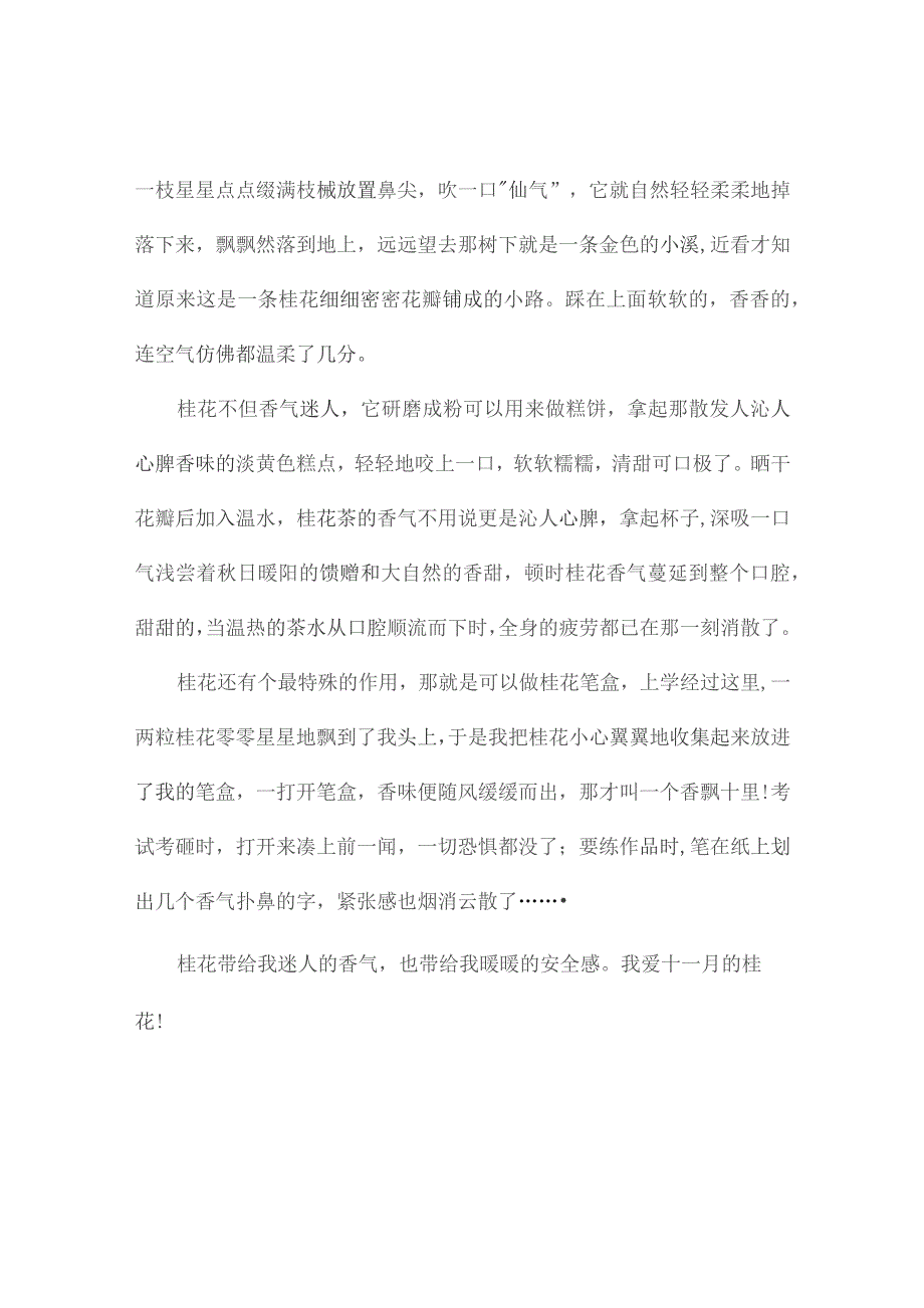 桂花-有关桂花的作文800字.docx_第2页