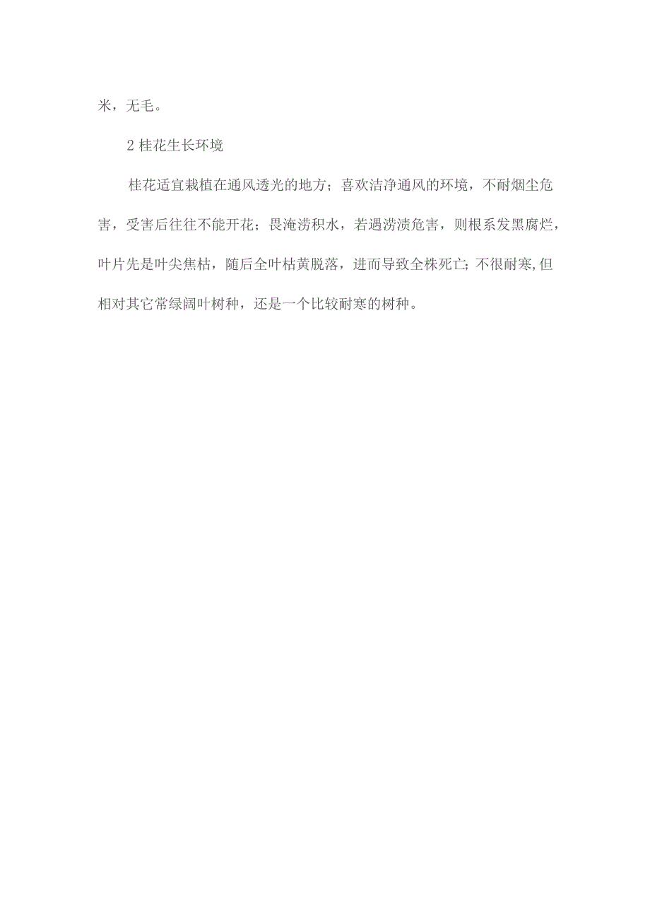 桂花描写作文500字.docx_第2页