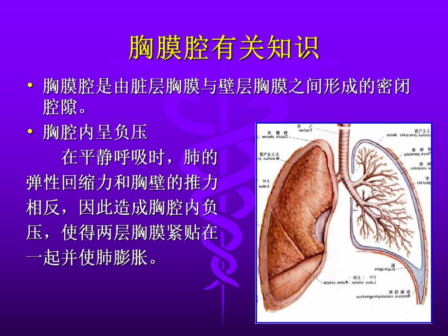 胸腔闭式引流术 科室.ppt_第3页