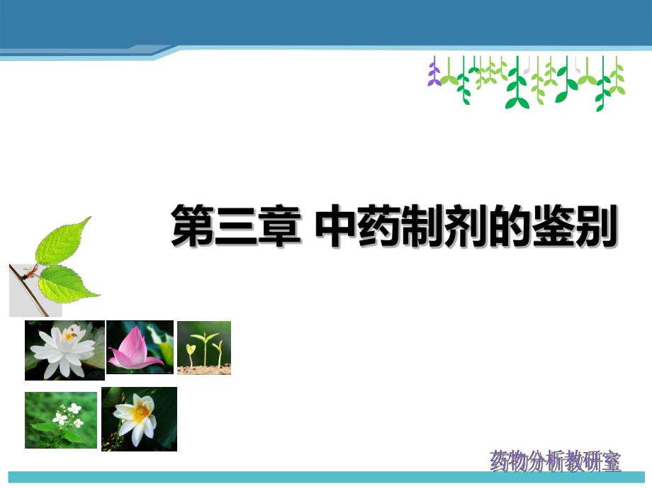 2第二章中药制剂分析鉴别.ppt_第1页