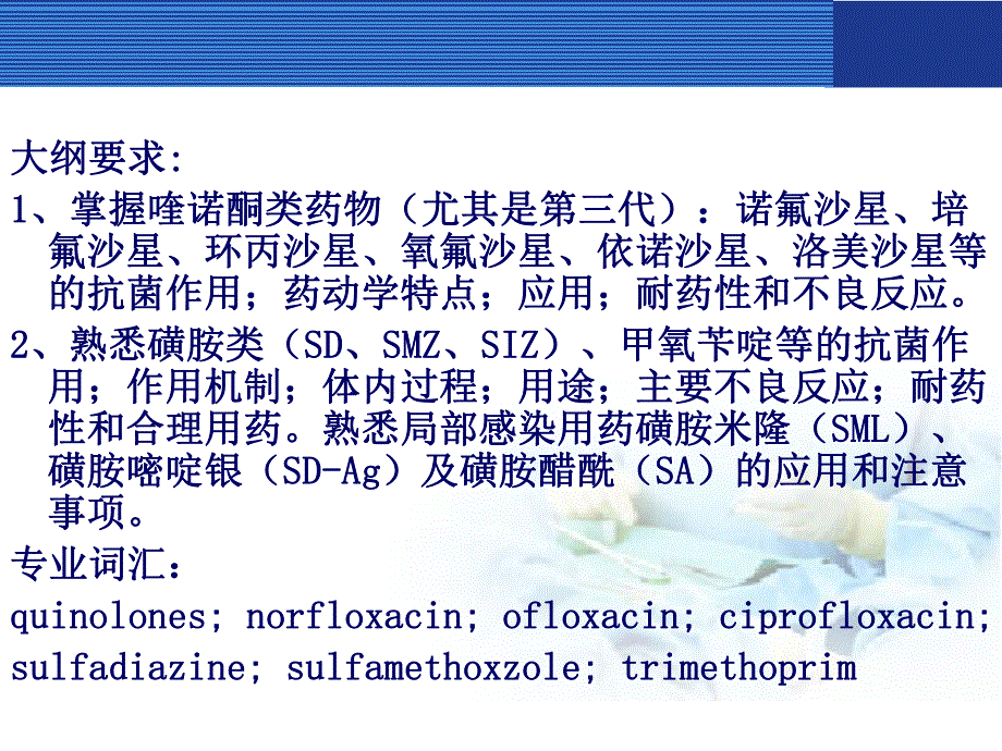 人工合成抗菌药.ppt_第2页