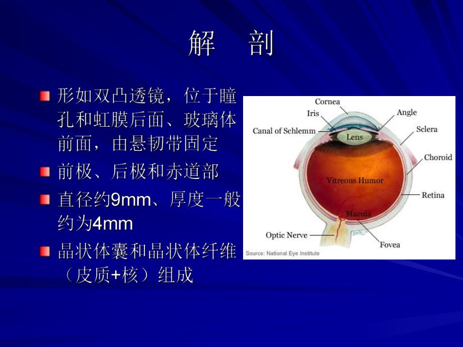 白内障.ppt.ppt_第2页