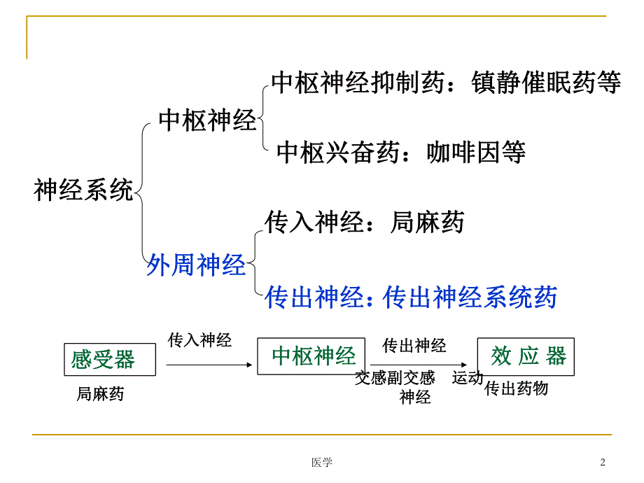 外周神经系统药理传出神经系统药理学概论.ppt_第2页