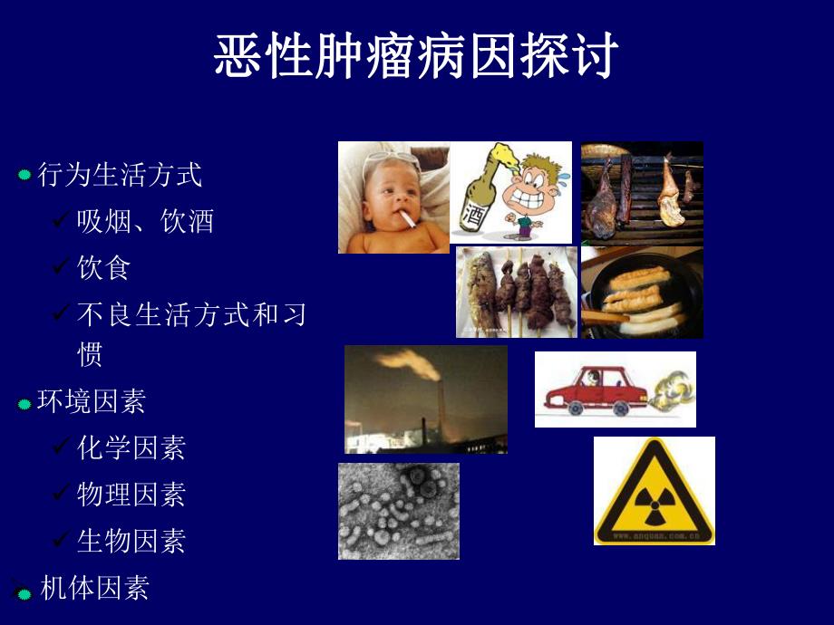 恶性肿瘤的药物治疗.ppt_第3页