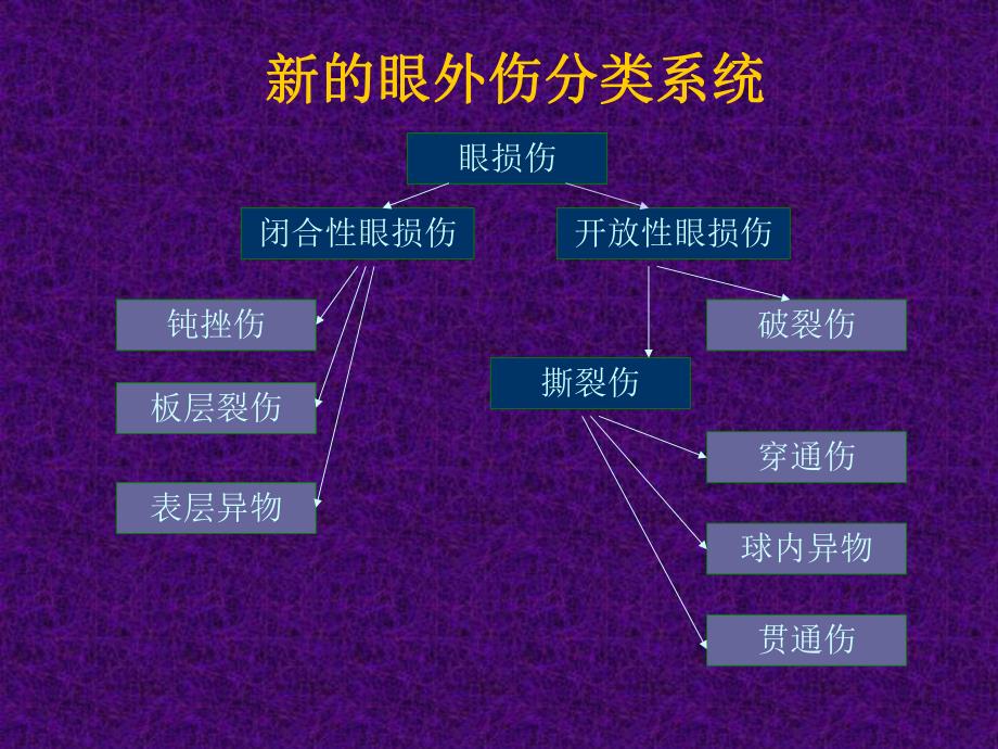 眼外伤与眼科急症处理.ppt_第3页