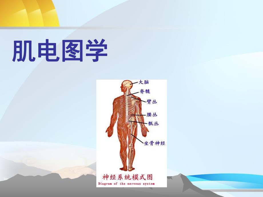 肌电图学.ppt_第1页