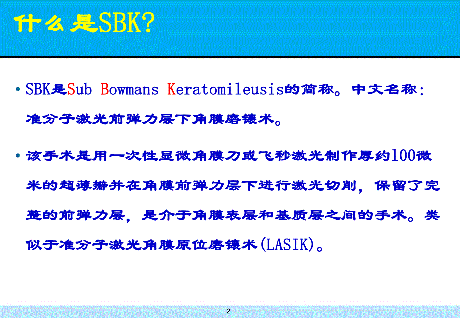 SBK矫治屈光参差.ppt_第2页