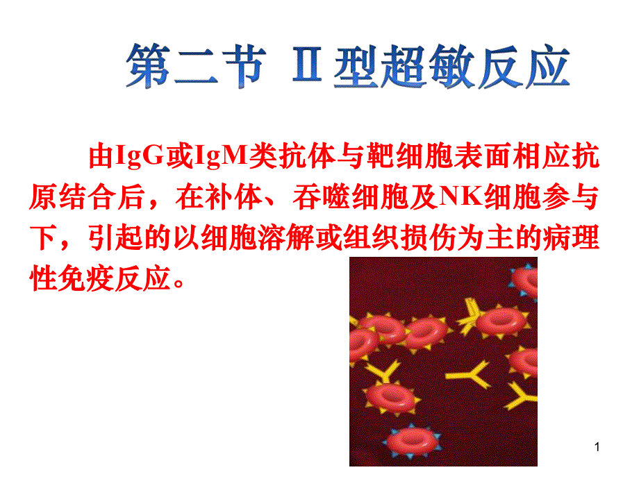 第二节 Ⅱ型超敏反应.ppt_第1页