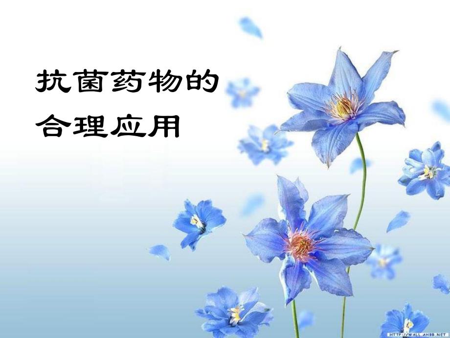 抗菌药物的合理应用ppt演示文稿.ppt_第1页