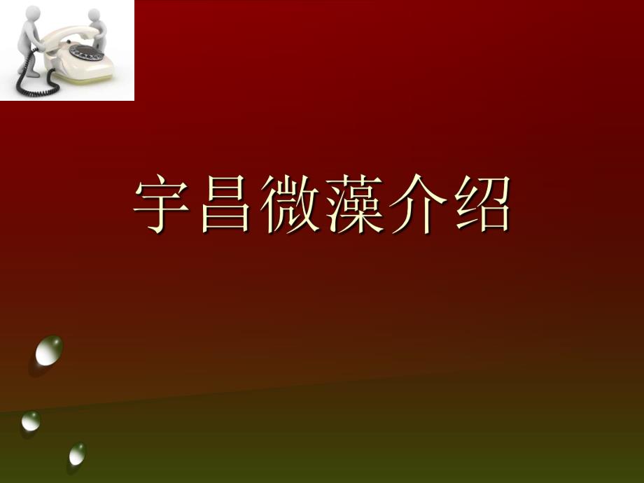 螺旋藻知识讲解.ppt_第1页