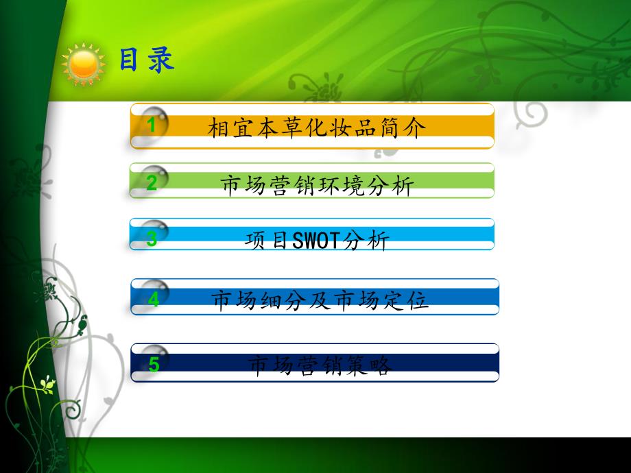 相宜本草策划方案.ppt_第2页